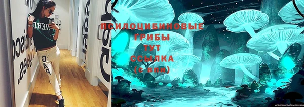 spice Баксан